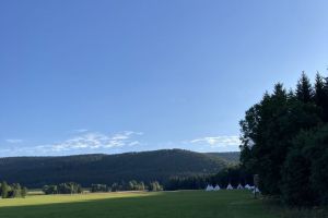 IMG_2915.jpeg