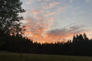 IMG_2963.jpeg